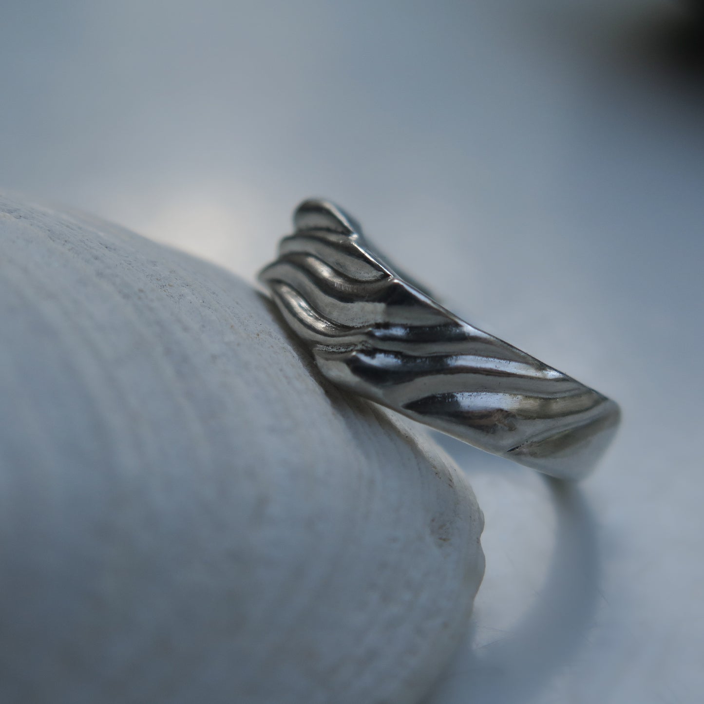 Anillo Virma